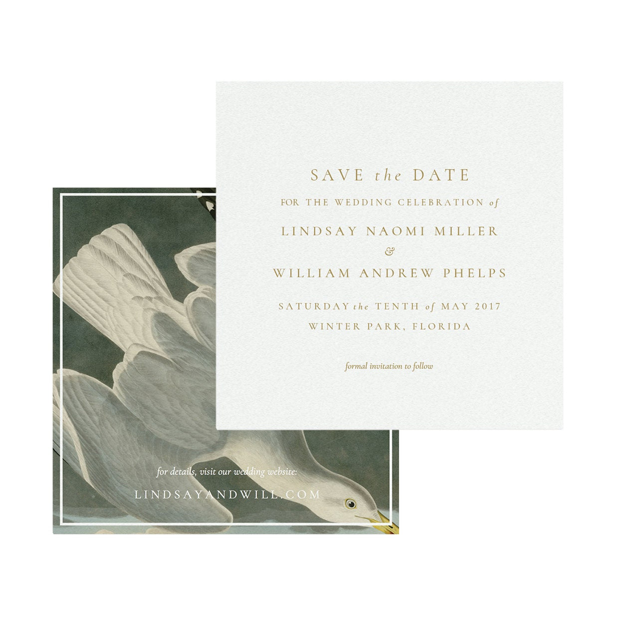 Vintage Birds Save the Date Template: Rustic Printable (PDF Instant Download)