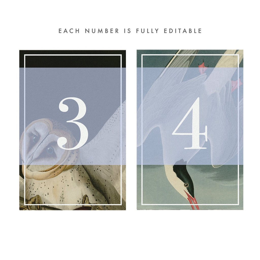 Vintage Bird Table Numbers: Rustic Wedding Reception (PDF Instant Download)