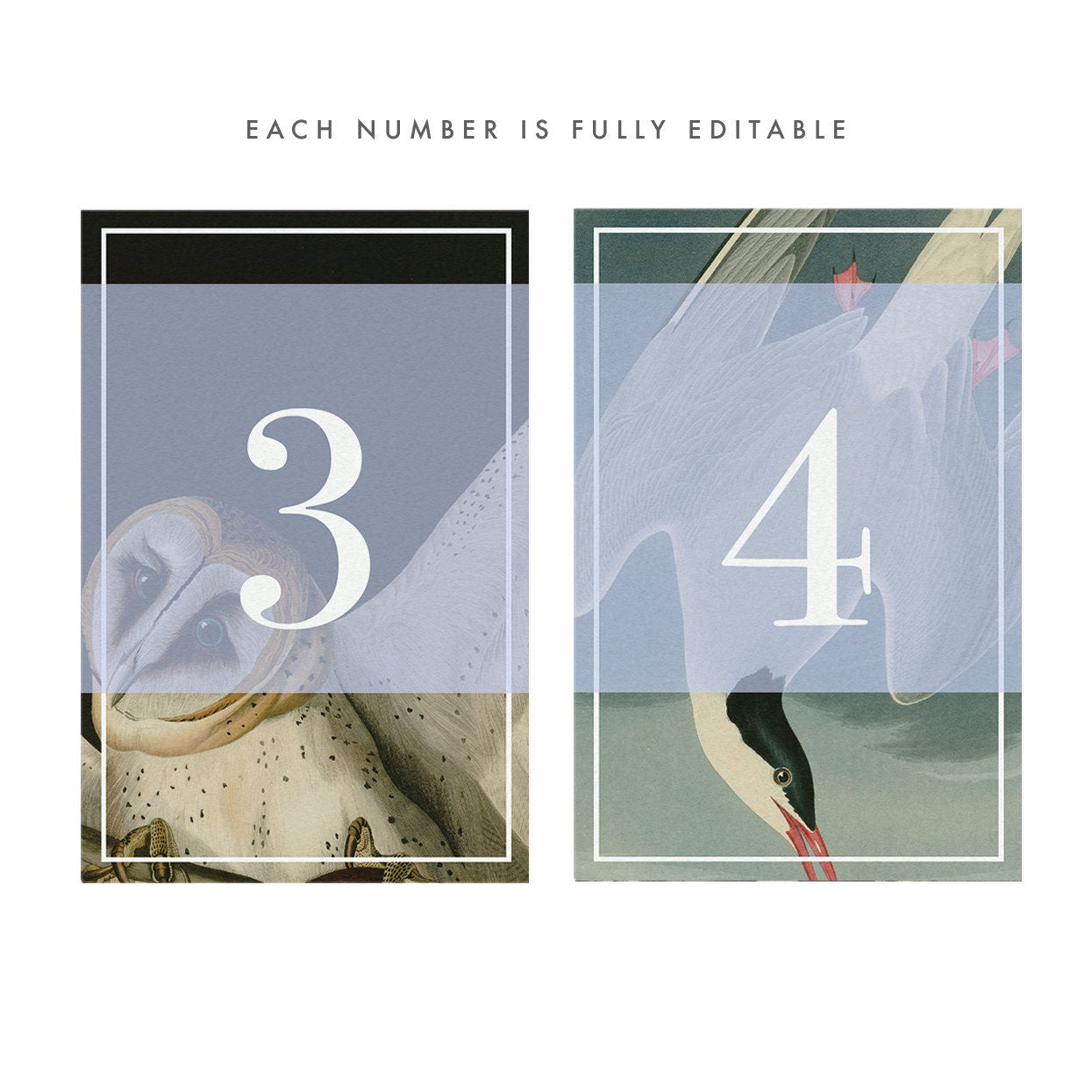 Vintage Bird Table Numbers: Rustic Wedding Reception (PDF Instant Download)