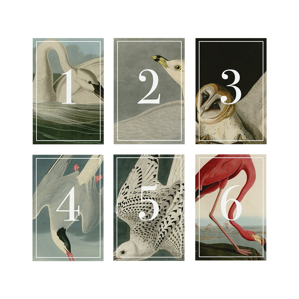 Vintage Bird Table Numbers: Rustic Wedding Reception (PDF Instant Download)