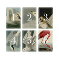 Vintage Bird Table Numbers: Rustic Wedding Reception (PDF Instant Download)