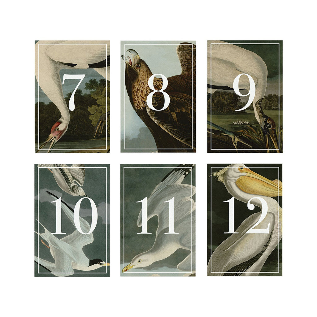 Vintage Bird Table Numbers: Rustic Wedding Reception (PDF Instant Download)