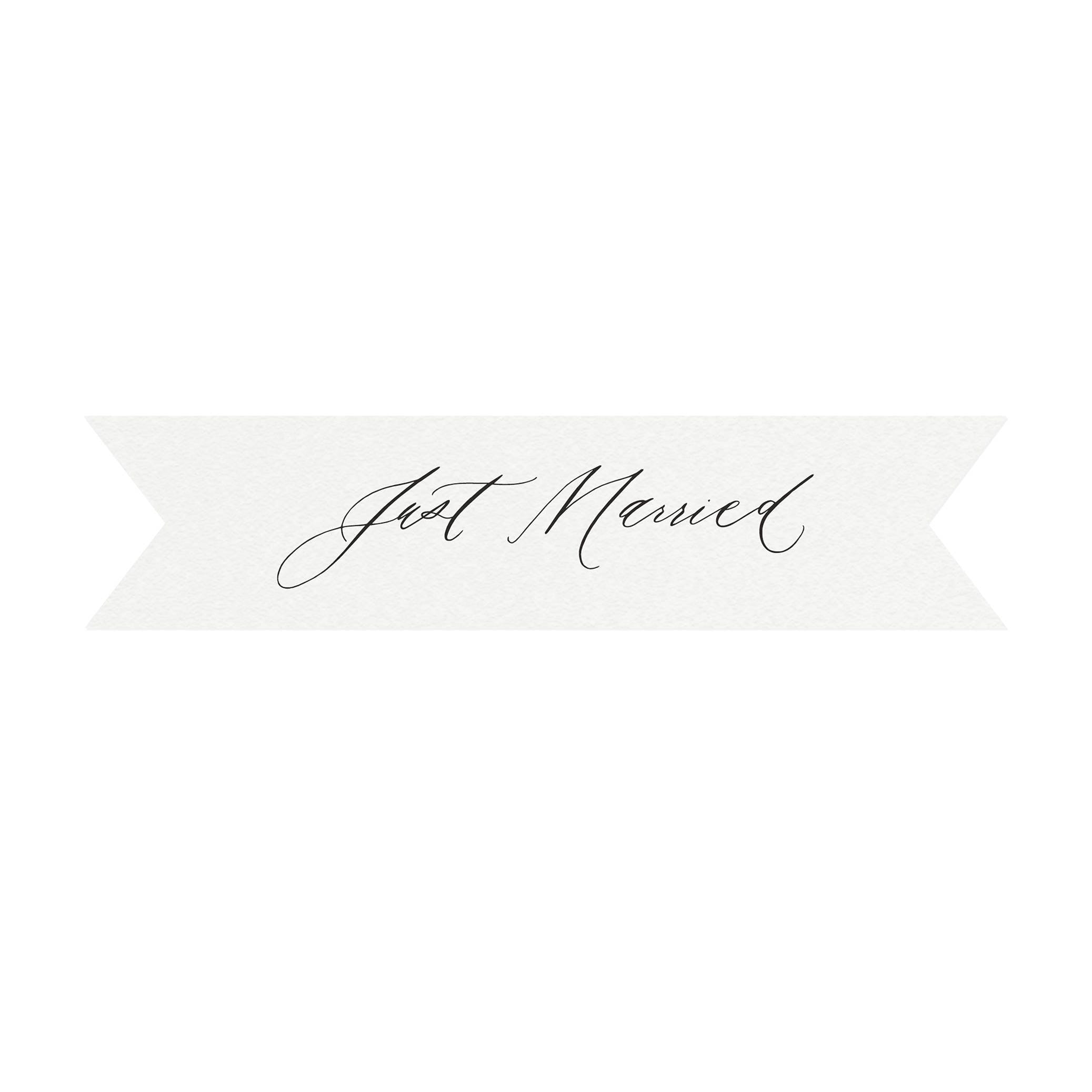 Just Married Banner: Calligraphy Wedding Sign (PDF Download)