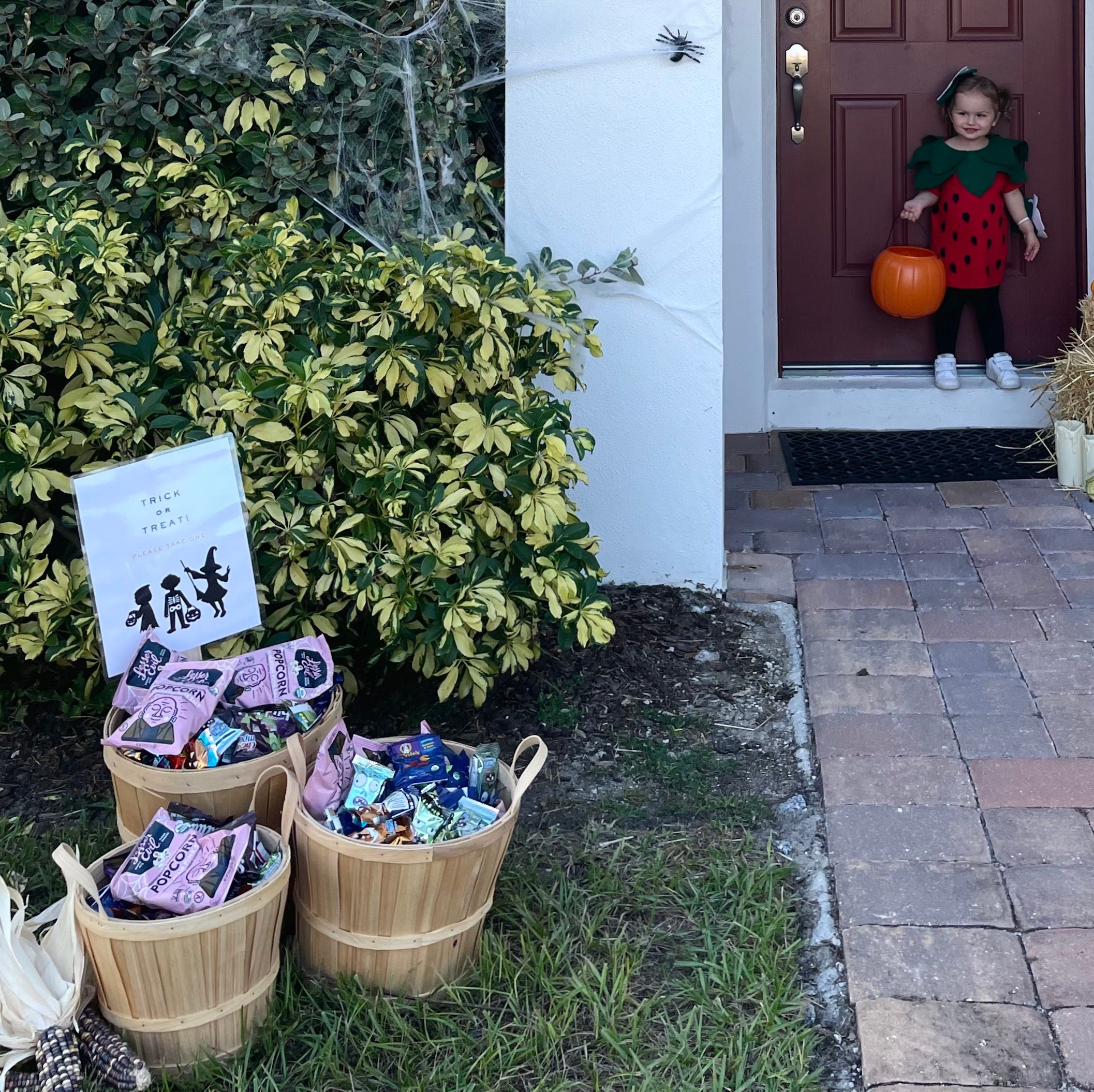 Trick or Treat Halloween Sign, No Contact Party Decor (Digital Download)